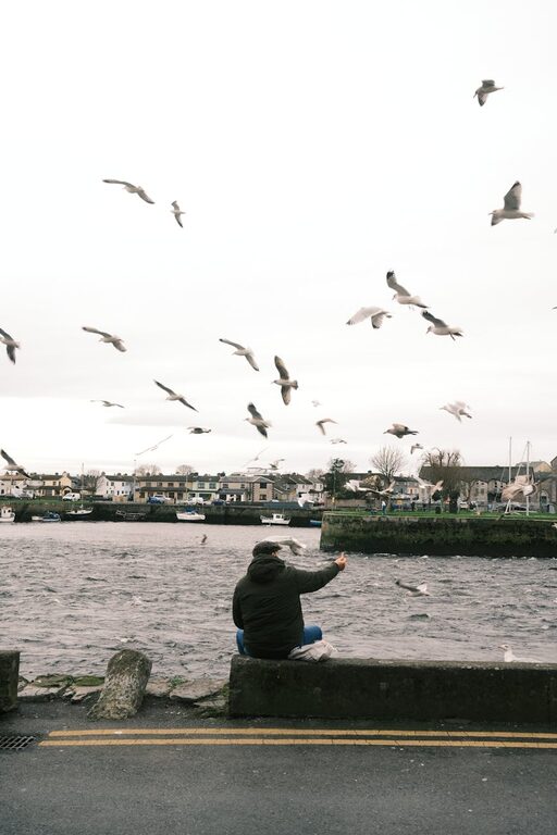 How to Plan a Simple Picnic at a Local Park
